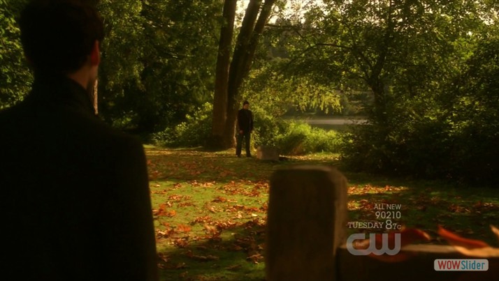 wordpress gallery plugin